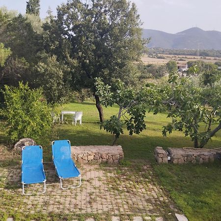 Appartamento In Villa Bruno Ольбія Екстер'єр фото